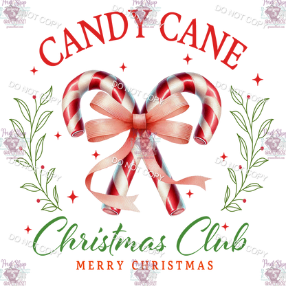 Individual Christmas 18 designs up to 12 inches 2